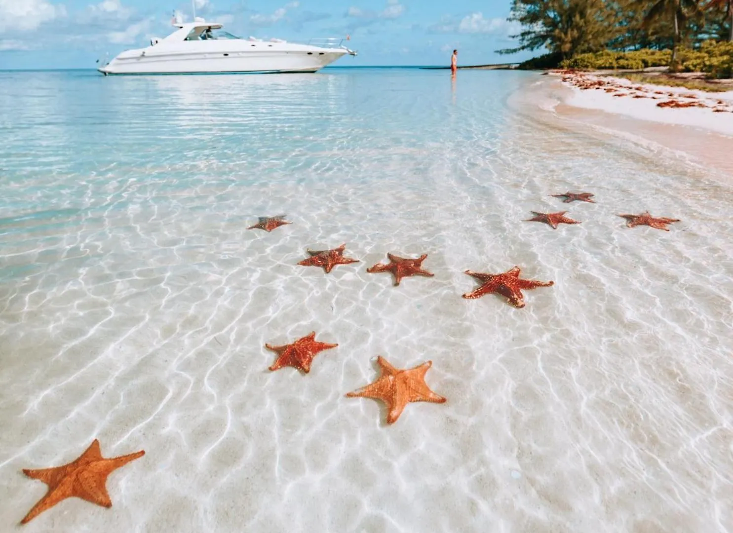 Daire Suite 2, Blue Pavilion - Steps To Beach - Car, Value, Service West Bay Cayman Adaları
